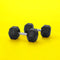 Sport & Hobby