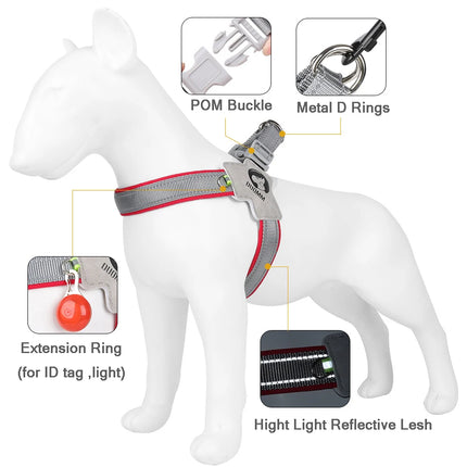 Adjustable Y Dog Harness for Small and Medium Dogs